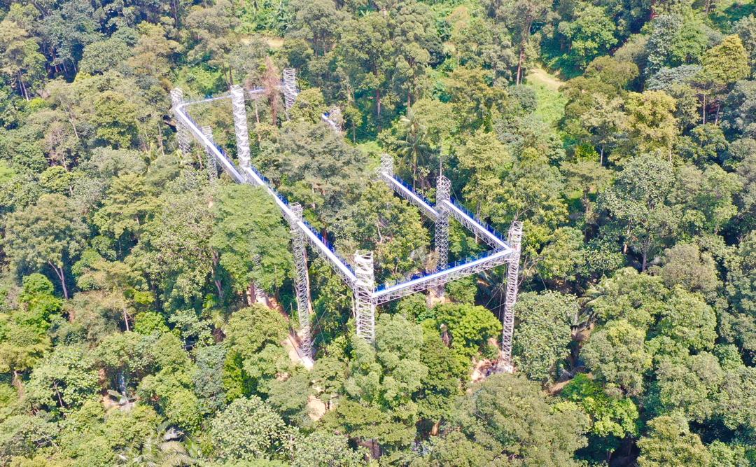 FRIM Kepong Skywalk aluminium structure